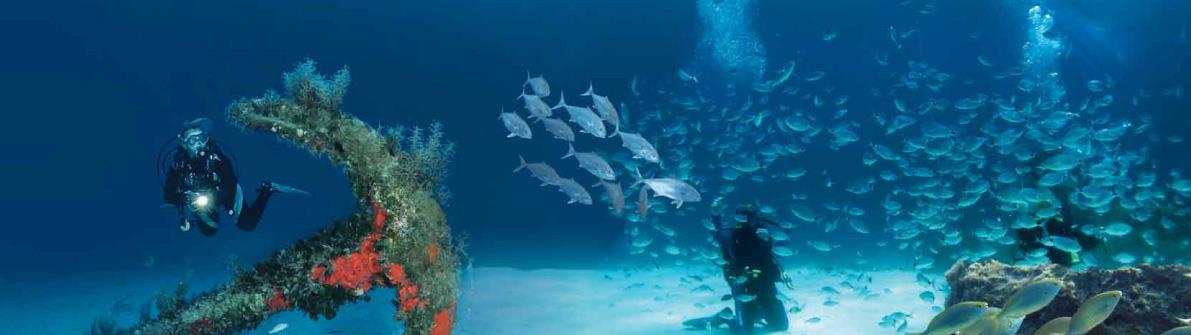 Gozo Diving