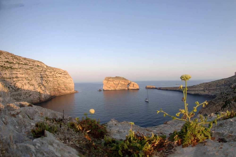 Natural Gozo - Fungus Rock